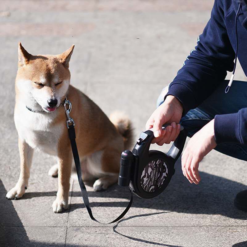 Retractable Leash w/ LED Light