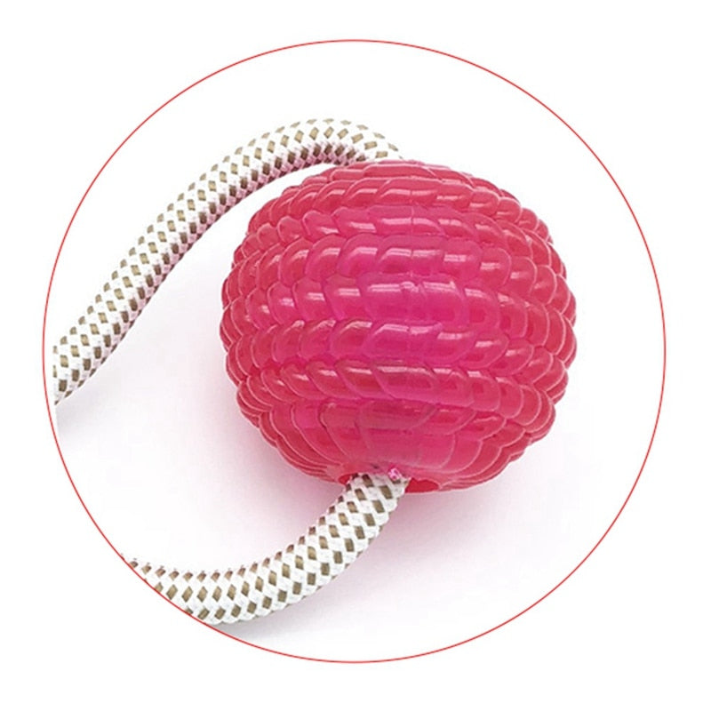 Indoor Tug of War Toy