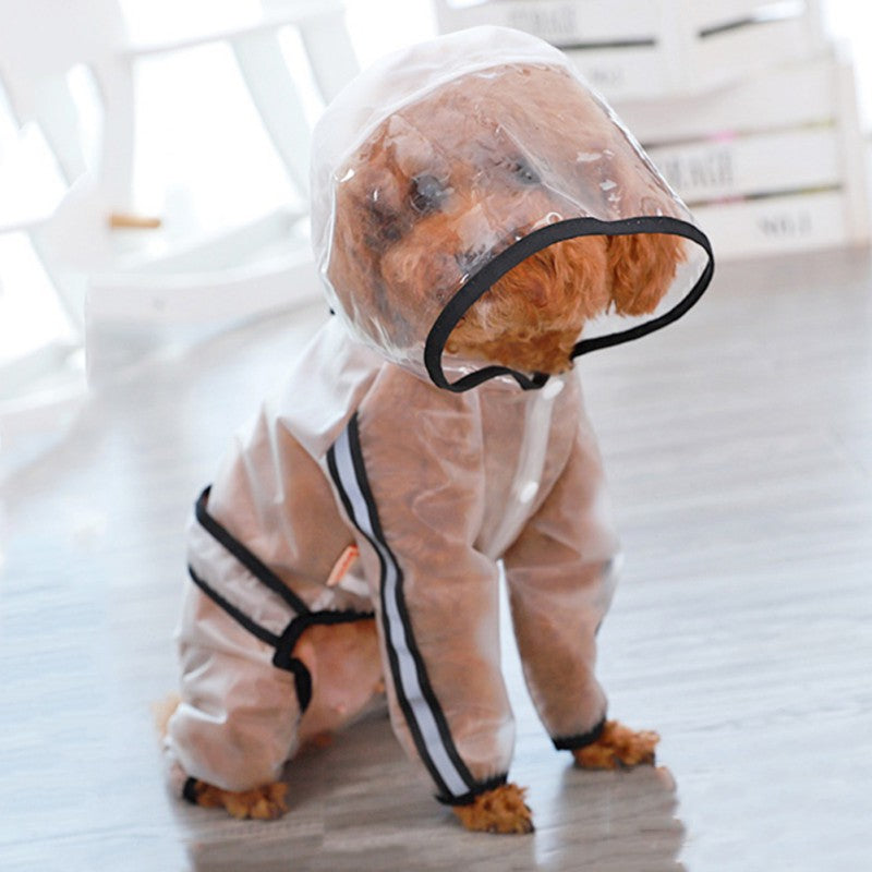 Dog Pancho