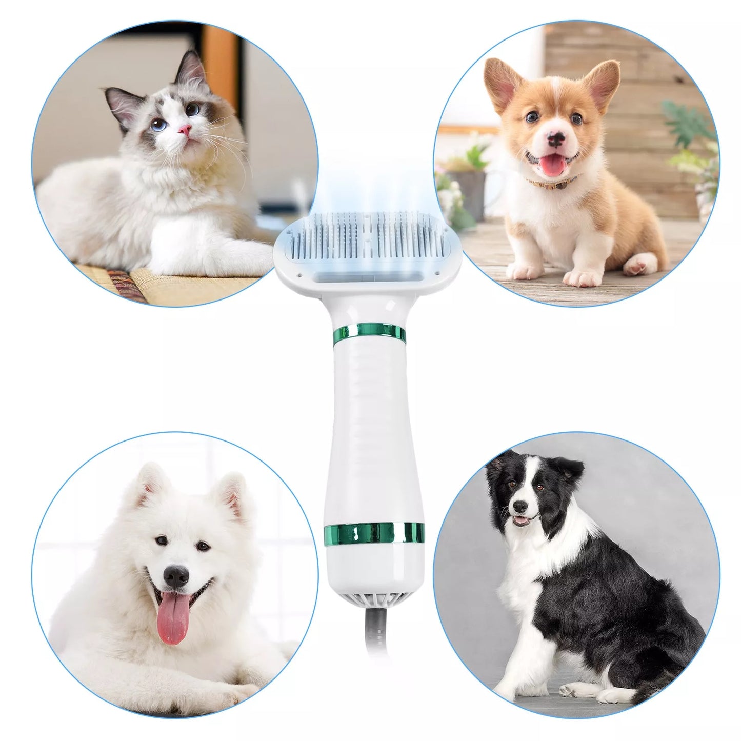 2-In-1 Portable Dog Blow Dryer & Brush