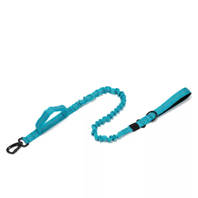 Durable Tactical Dog Collar and Leash