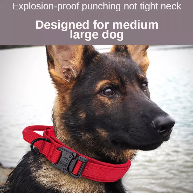 Durable Tactical Dog Collar and Leash