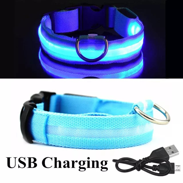 LED Rechargeable Dog Collar