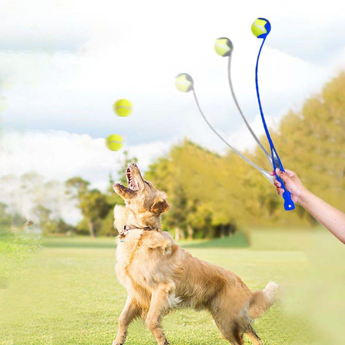 Handheld Ball Launcher