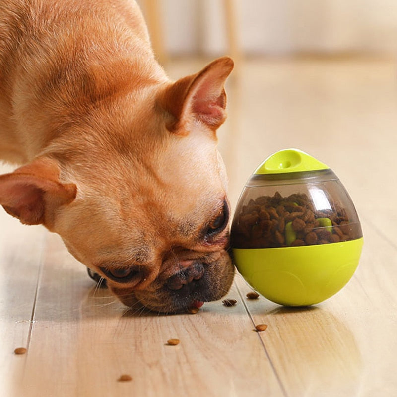 Interactive Dog Treat Dispensing Toy