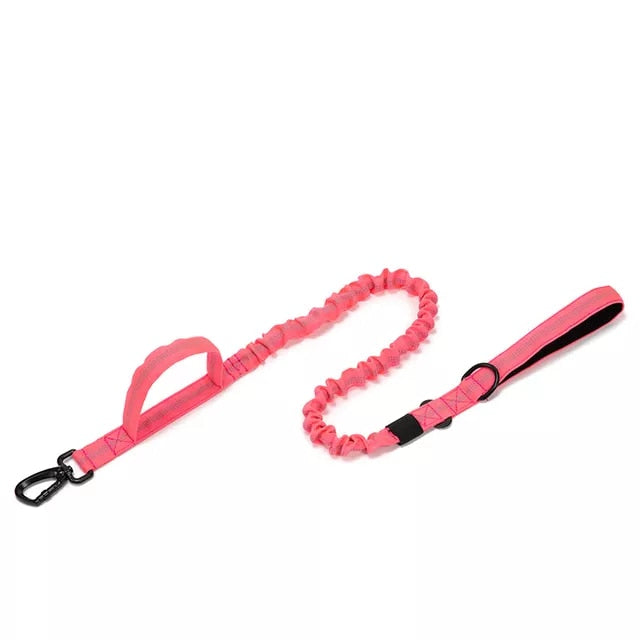 Durable Tactical Dog Collar and Leash