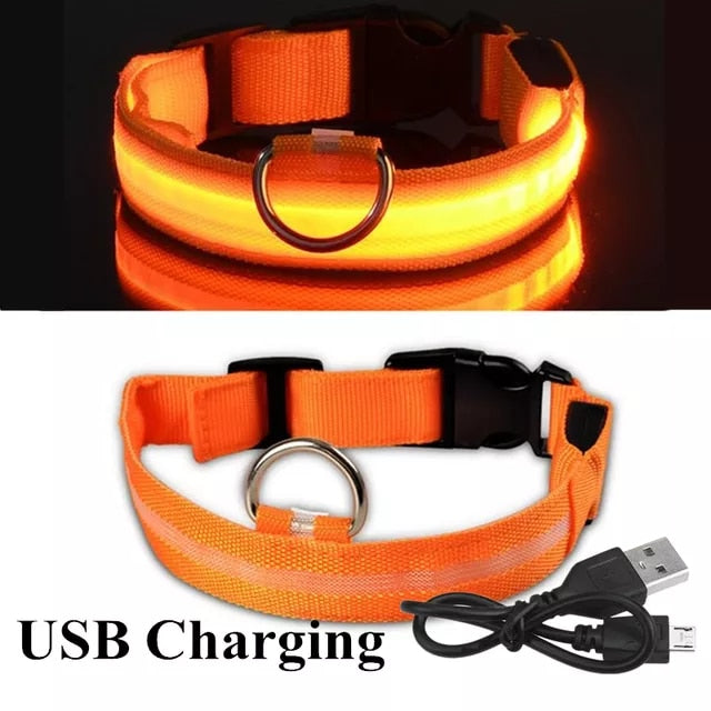 LED Rechargeable Dog Collar