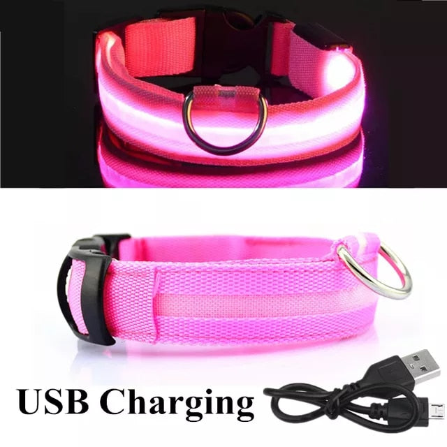 LED Rechargeable Dog Collar