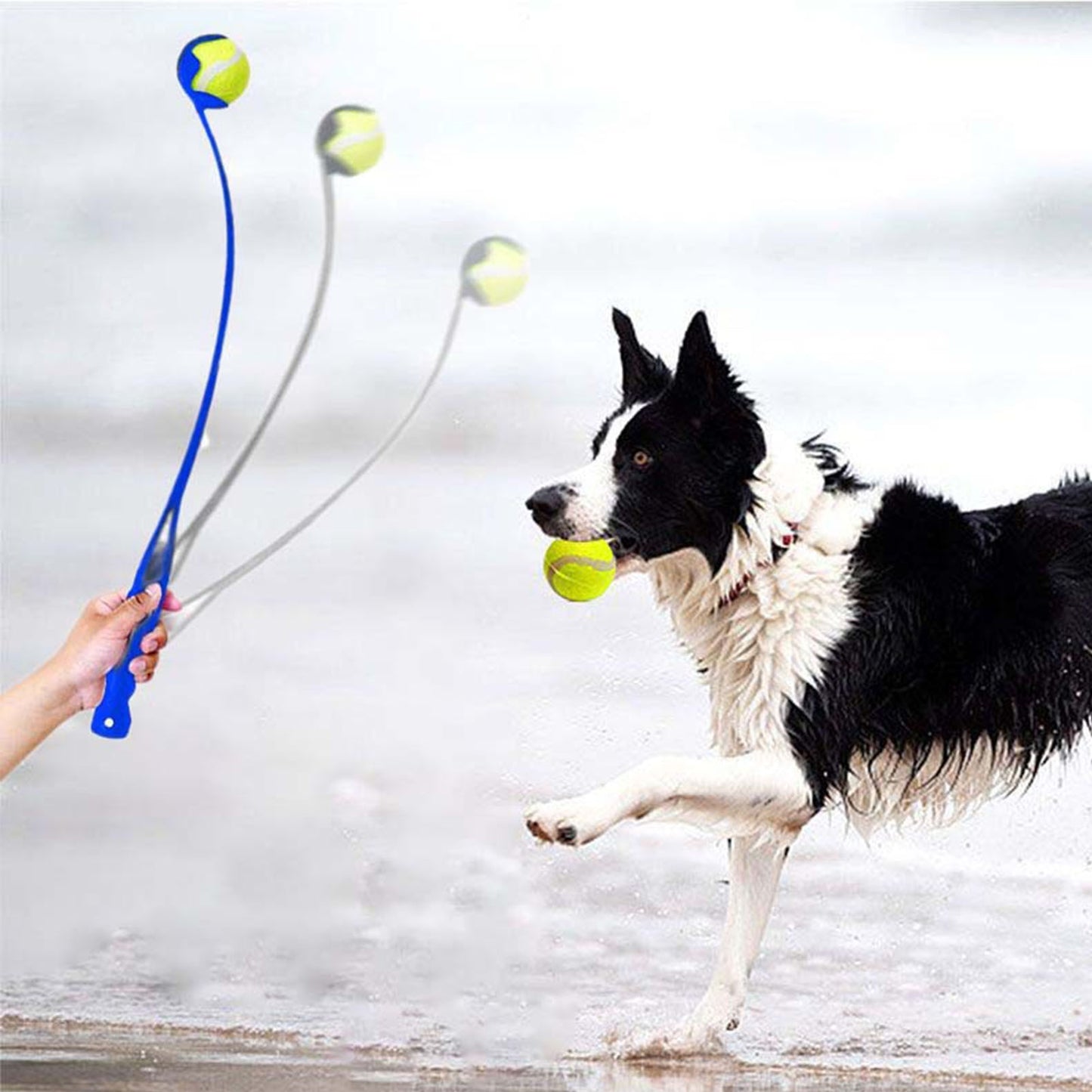Handheld Ball Launcher