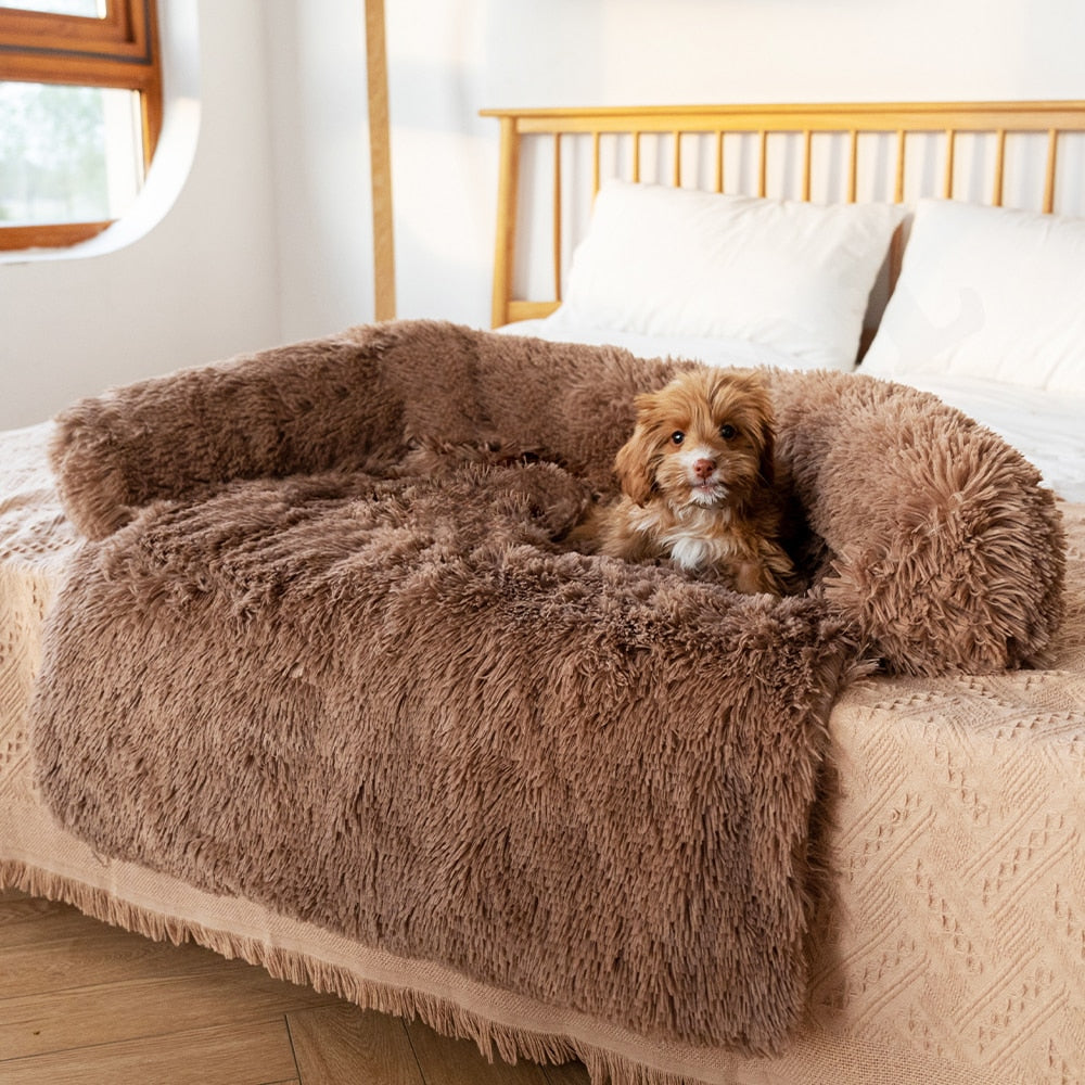Calming Dog Bed