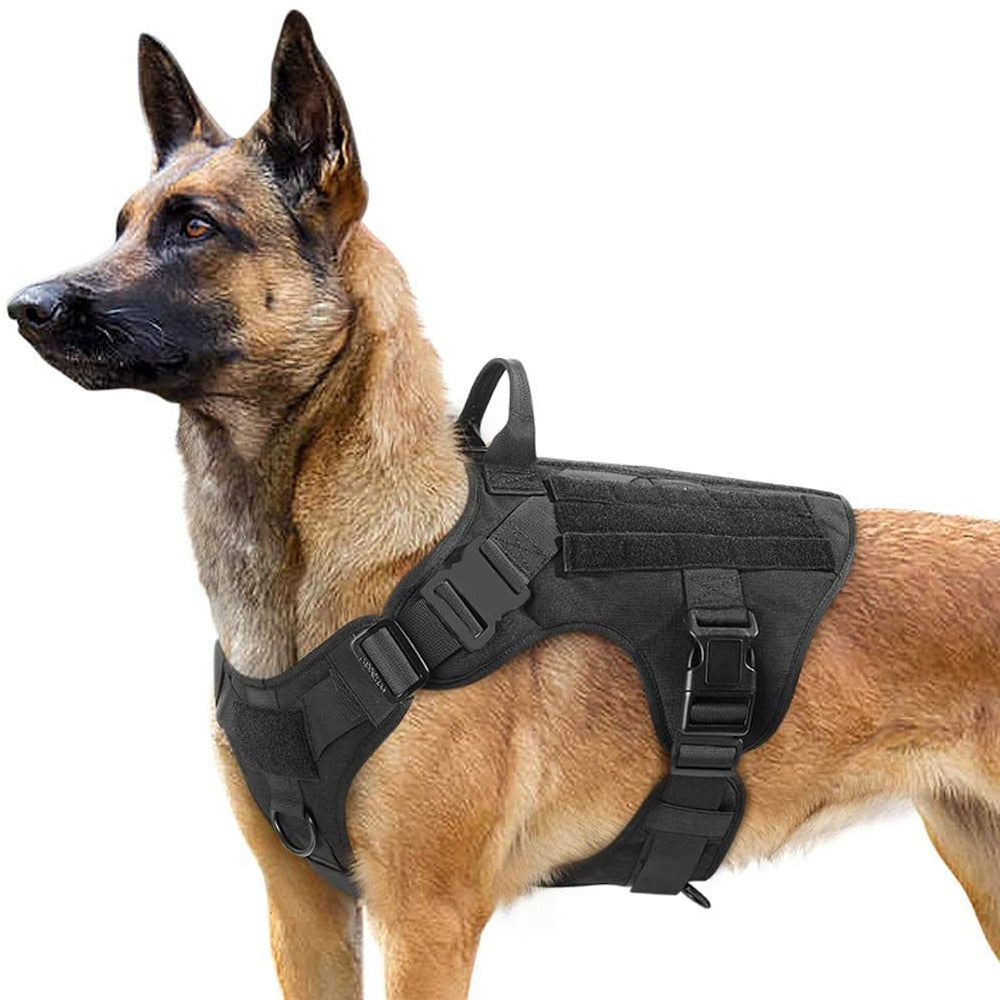 Tactical Dog Harness and Leash Set
