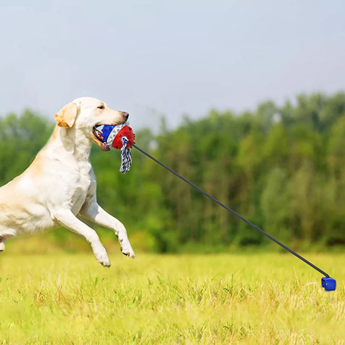 Outdoor Tug-of-War Toy