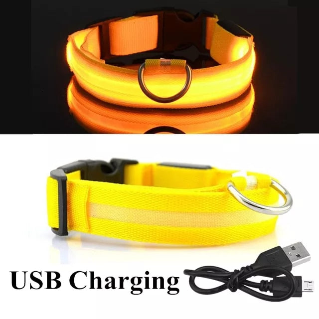 LED Rechargeable Dog Collar