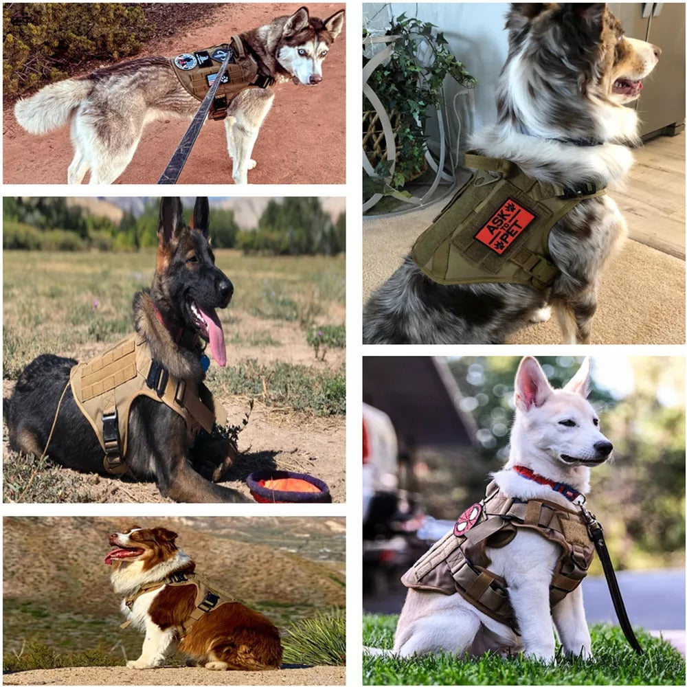 Tactical Dog Harness and Leash Set