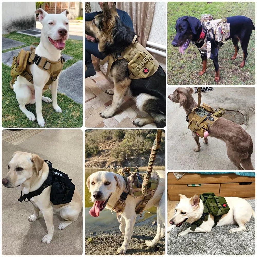 Tactical Dog Harness and Leash Set