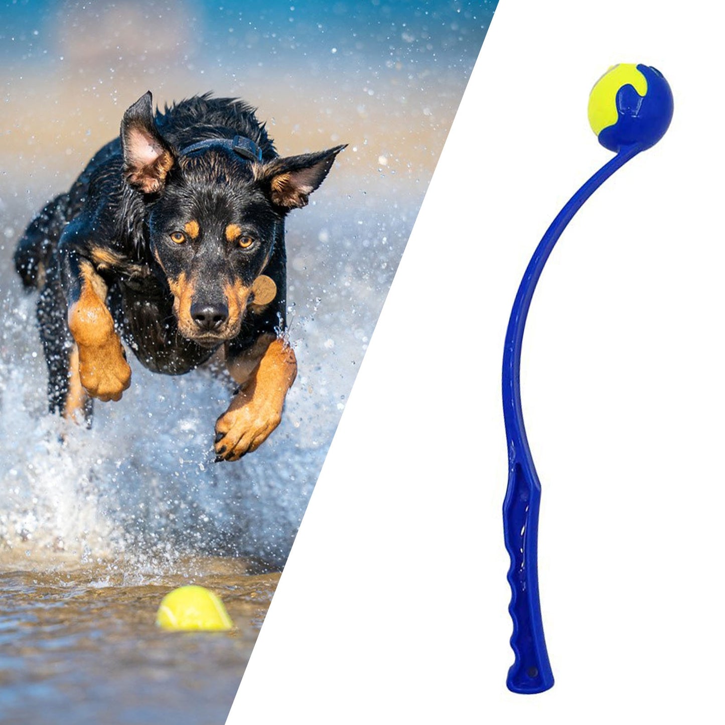 Handheld Ball Launcher