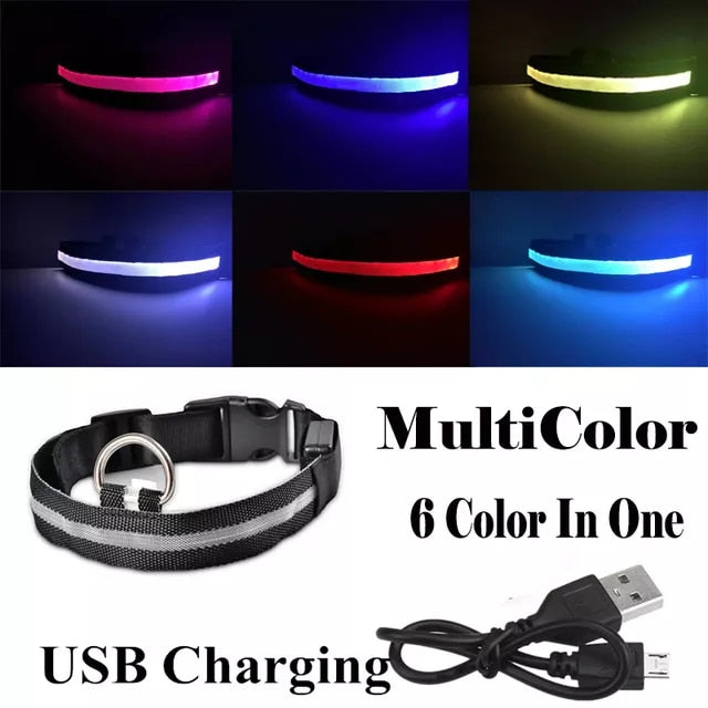 LED Rechargeable Dog Collar