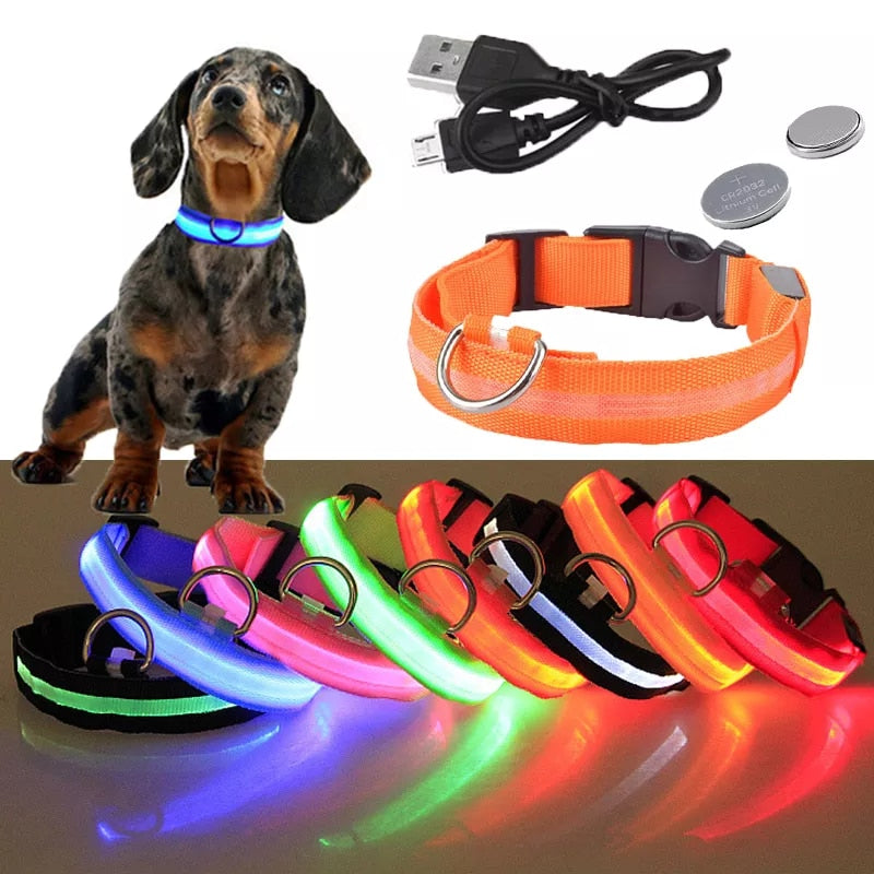 LED Rechargeable Dog Collar