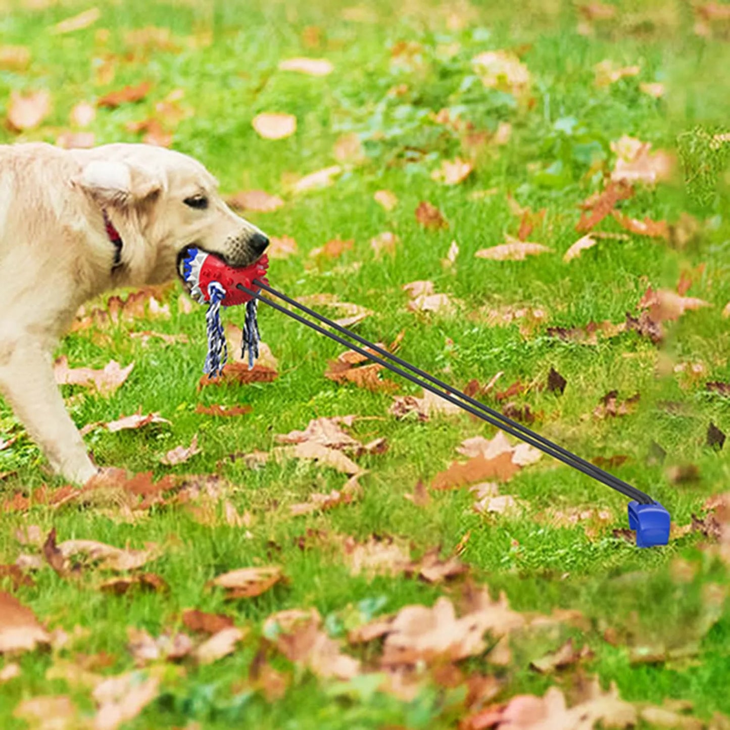 Outdoor Tug-of-War Toy
