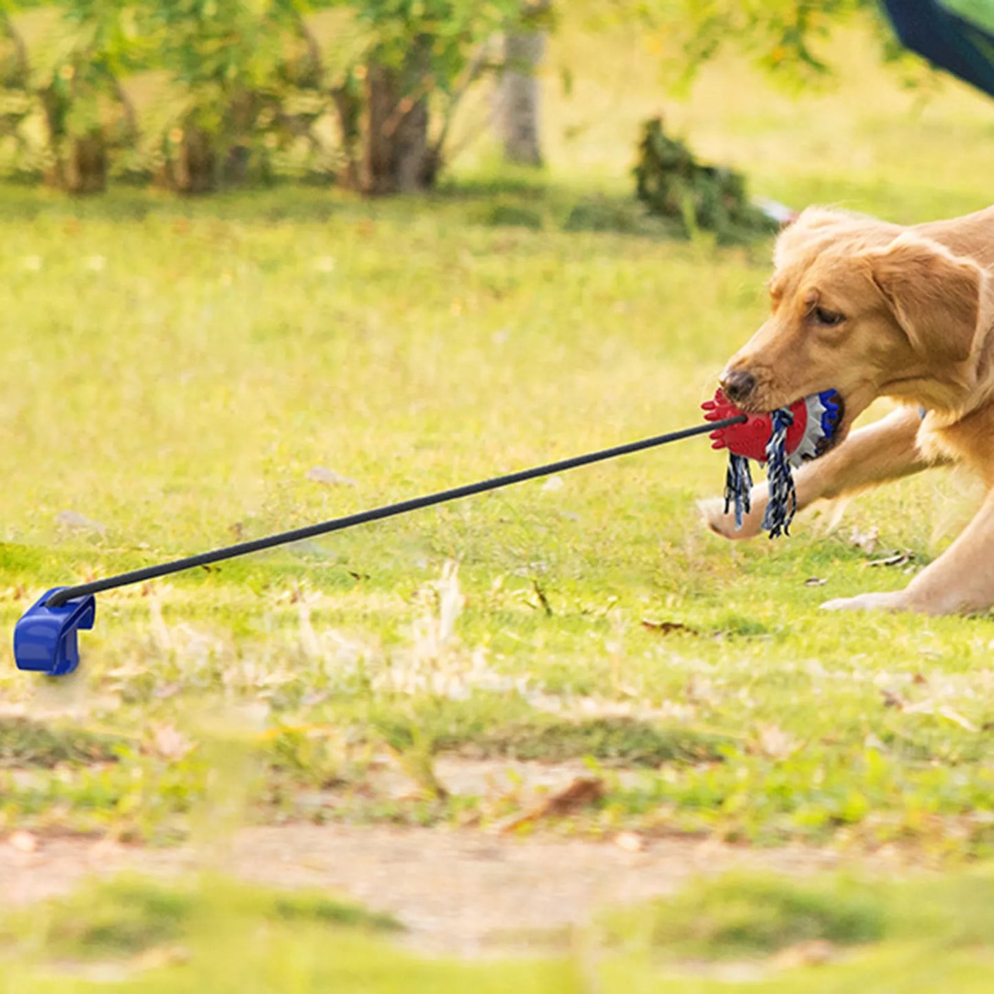 Outdoor Tug-of-War Toy