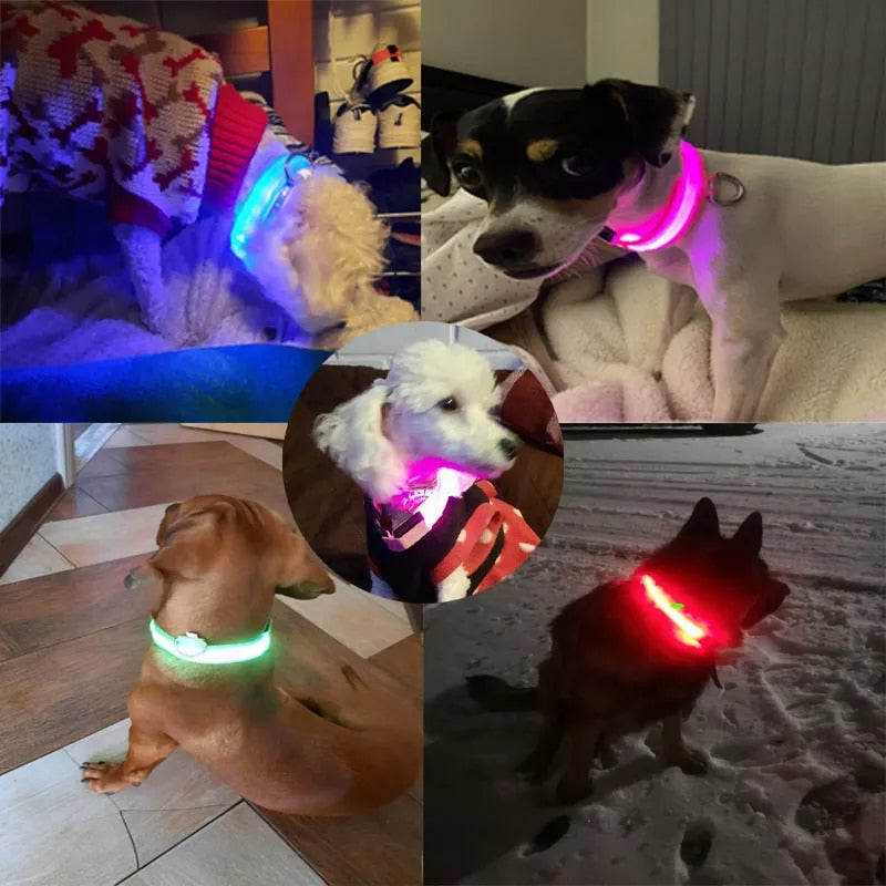 LED Rechargeable Dog Collar