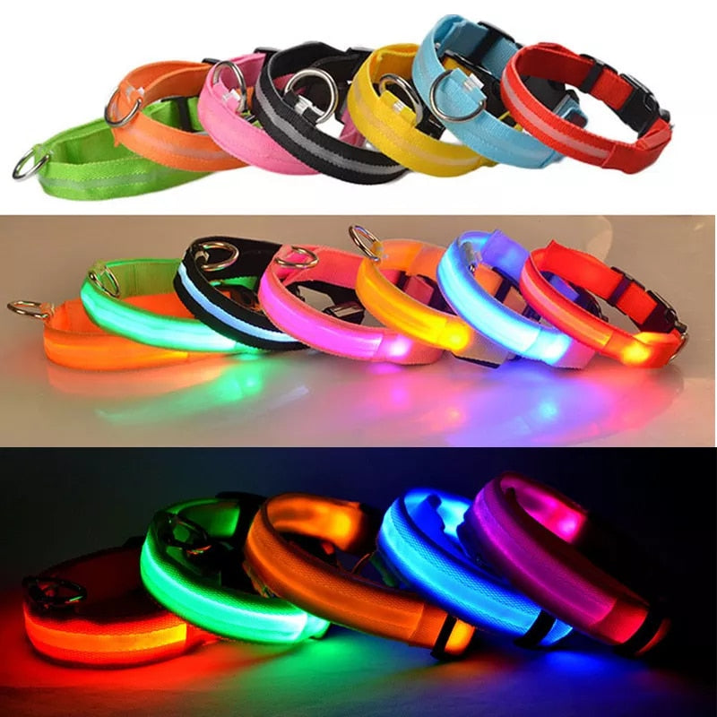 LED Rechargeable Dog Collar